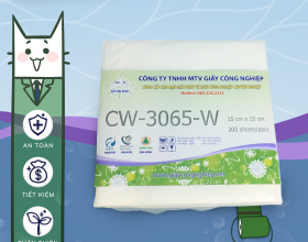 GIẤY LỌC 3065 W15